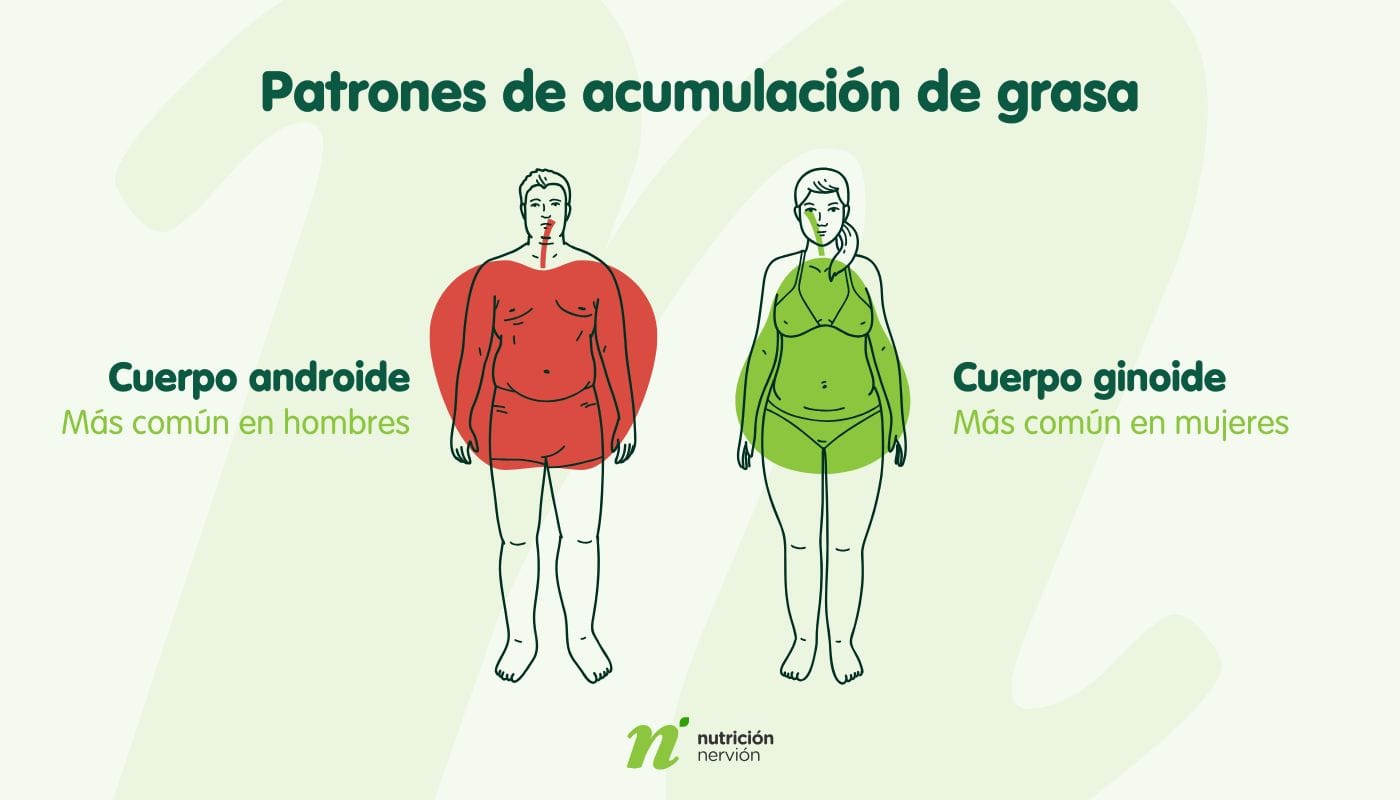 patrones de acumulacion de grasa
